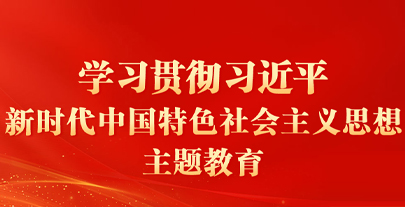 学习贯彻习近平新时代中国特色社会主义思想主题教育